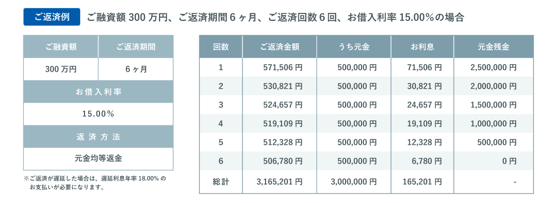 ご返済計画（例）